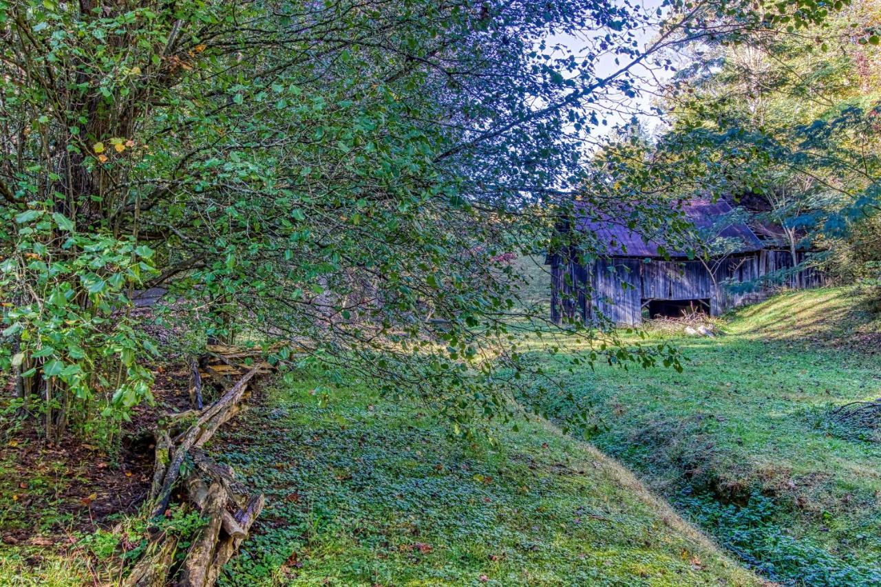Cozy Creek Cabin ピジョンフォージ エクステリア 写真