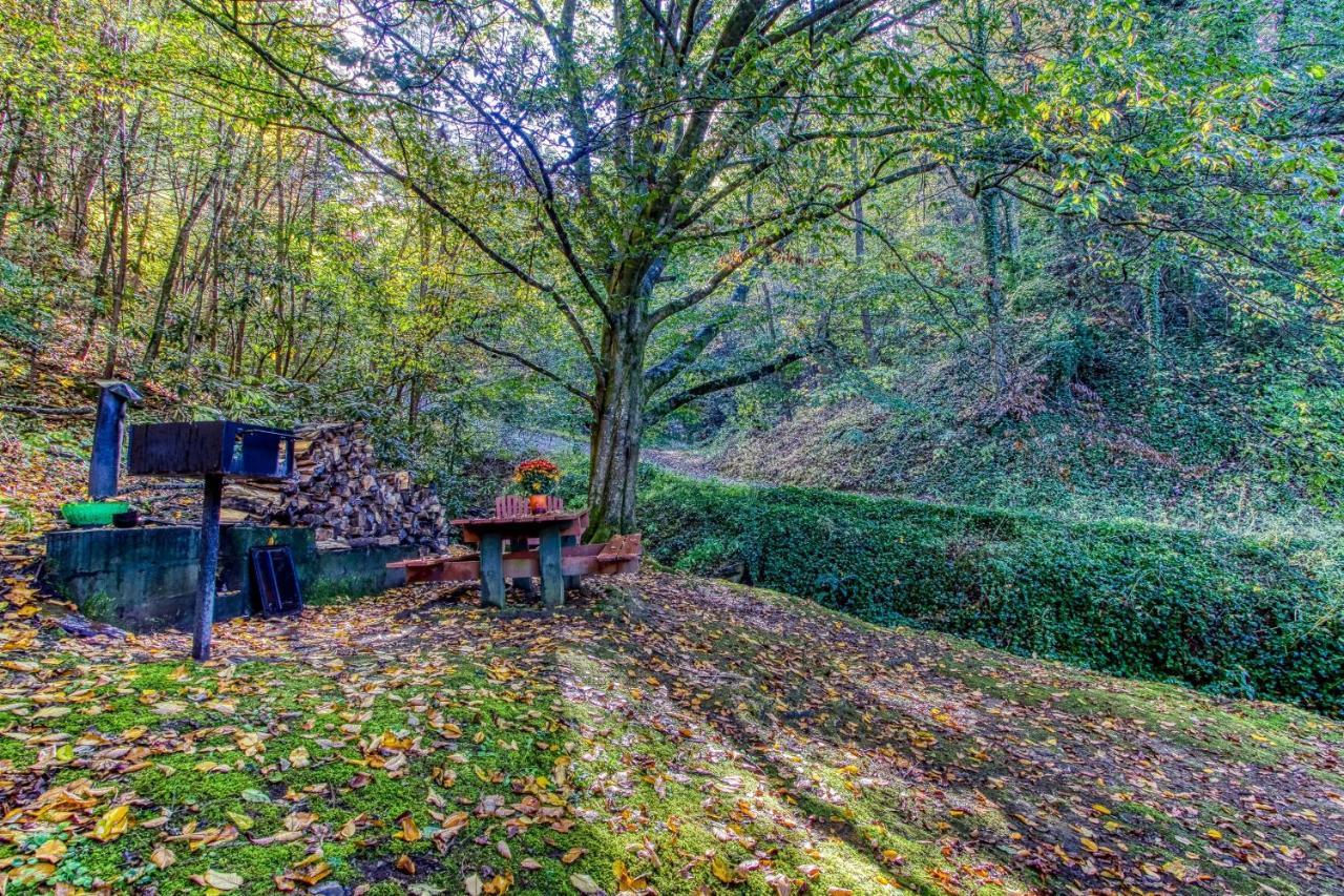 Cozy Creek Cabin ピジョンフォージ エクステリア 写真