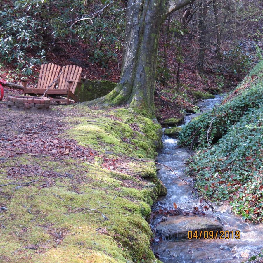 Cozy Creek Cabin ピジョンフォージ エクステリア 写真